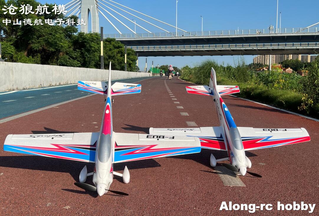 F803  F3A Skylarks 1000mm Wing - Rc Hobby Grade Plane avis et prix