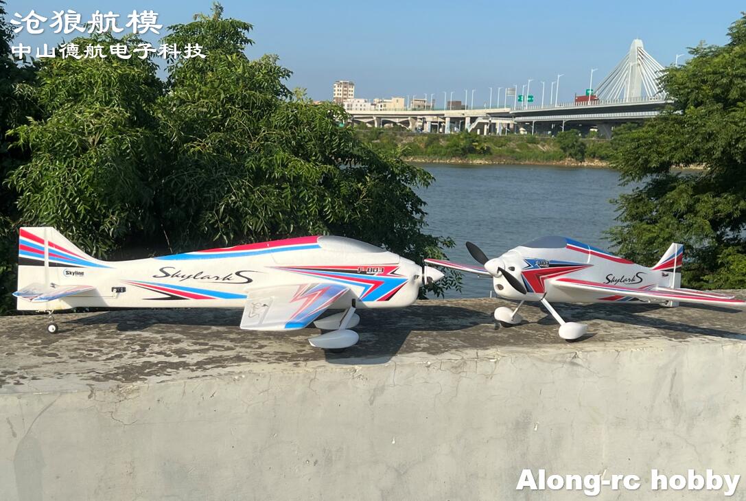 F803  F3A Skylarks 1000mm Wing - Rc Hobby Grade Plane avis et prix